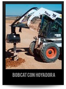 BOBCAT CON HOYADORA